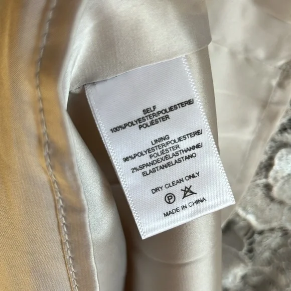 BHLDN Anthropologie Silver Floral Lace Sleeveless Emmeline Dress - Picture 10 of 11